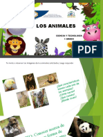 Los Animales Primer Grado