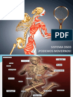 Sistema Oseo - 1