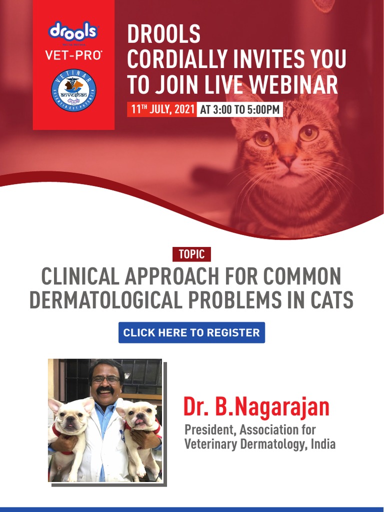 Clinical Approach For Common Drools Dermatological Problem For Cats ...