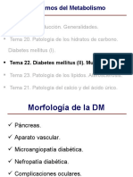 Tema+22 Diabetes+Mellitus+II Mucoviscidosis 2008 09