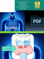 tiroides - copia