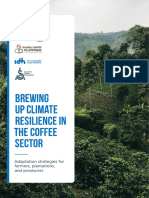 Brewing Up Climate Resilience in The Coffee Sector 1