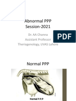 Abnormal PPP Session-2021: Dr. AA Channa Assistant Professor Theriogenology, UVAS Lahore