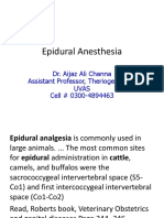 Epidural Anesthesia: Dr. Aijaz Ali Channa Assistant Professor, Theriogenology, Uvas Cell # 0300-4894463