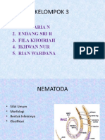  NEMATODA