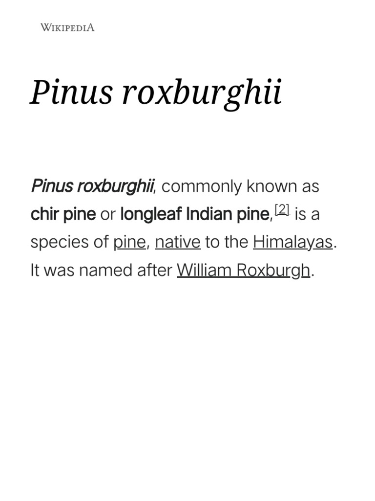 Pinus Roxburghii - Wikipedia | PDF | Trees | Plants