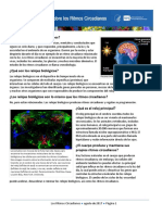 Spanish Circadian