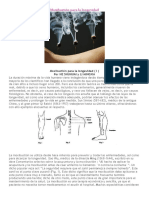 2-Moxibustion-para-la-longevidad