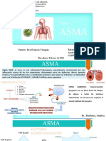 ASMA: Fisiopatología, factores desencadenantes, fenotipos y tratamiento