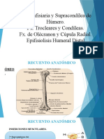 Fractura Diafisaria y Supracondílea de húmero TRAUMA