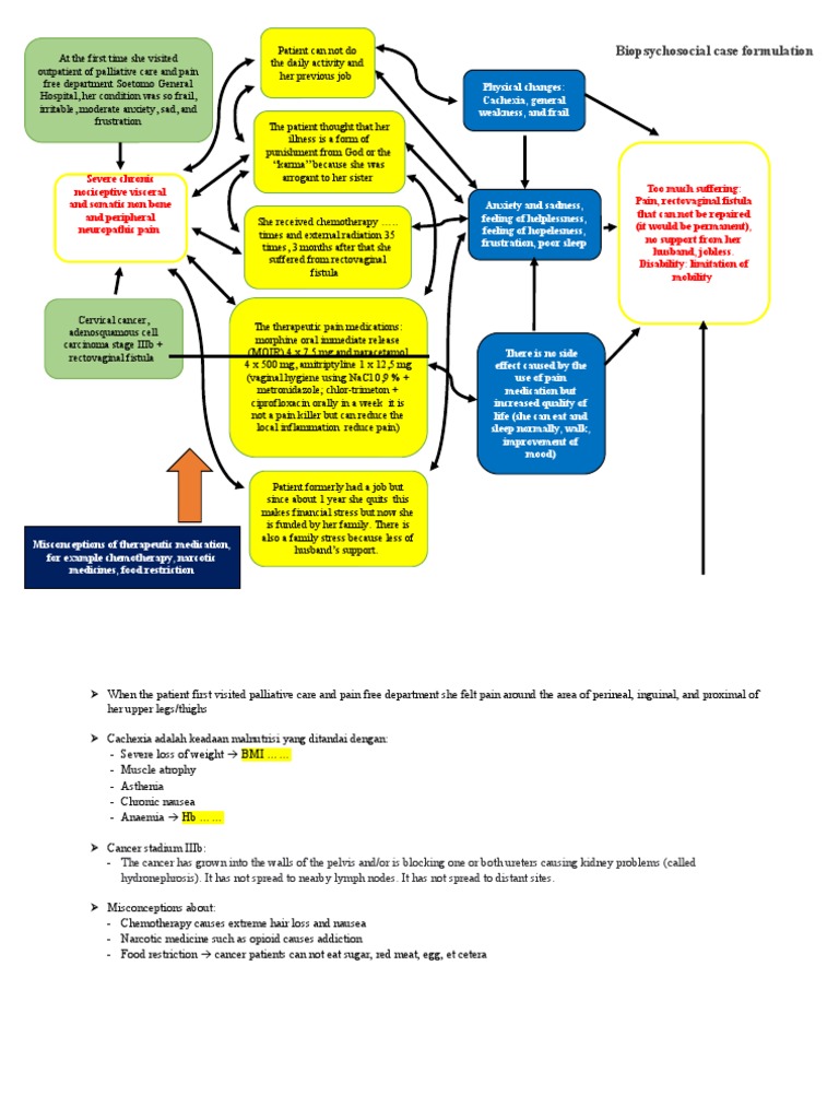 Cervical Cancer Case Formulation Insights | PDF | Pain | Cancer