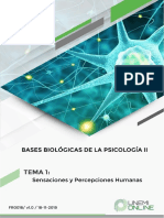 Tema 1 Bases