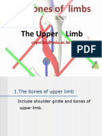 Bones of  Upper limbs