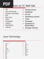 Presentation On IT Skill Set