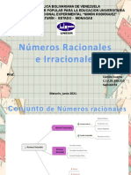 Números Racionales e Irracionales