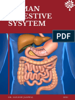 Digestive System (Handwritten)