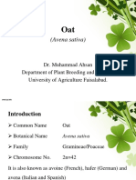 (Avena Sativa) : Dr. Muhammad Ahsan Department of Plant Breeding and Genetics University of Agriculture Faisalabad