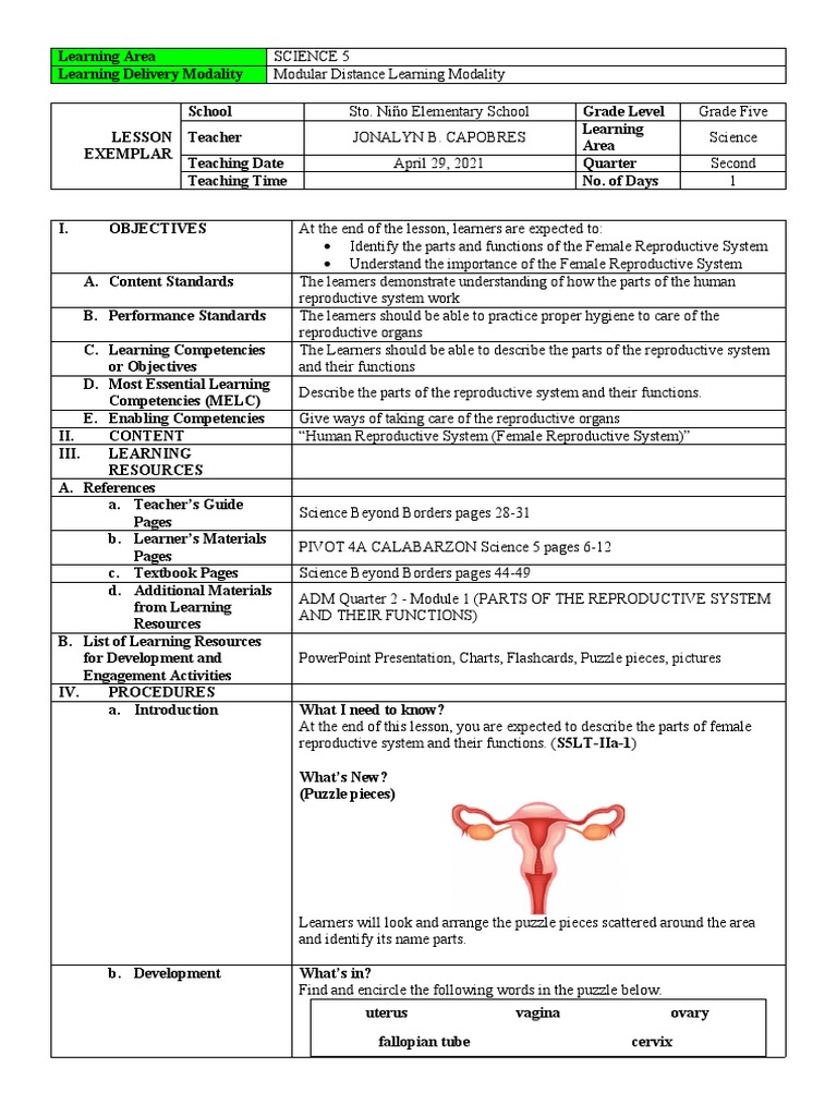 Female Reproductive System Overview | PDF | Uterus | Vagina