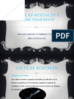 Células Sexuales y Gametogénesis