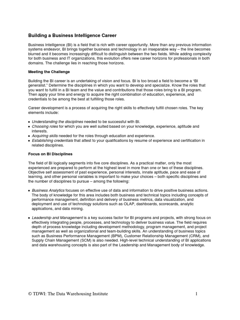Building A Business Intelligence Career: Meeting The Challenge | PDF ...