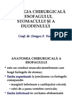 patologia chirurgicala esofag stomac duoden 
