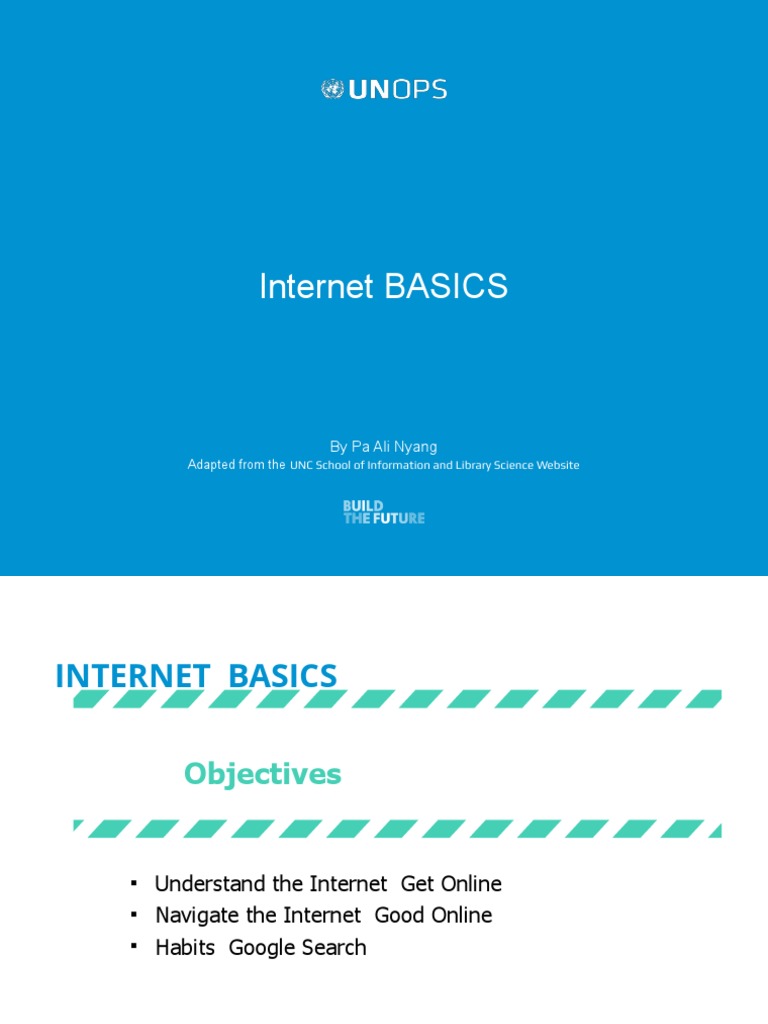 Internet BASICS: by Pa Ali Nyang | PDF | World Wide Web | Internet & Web