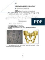 Trabajo de Parto El Feto y El Canal