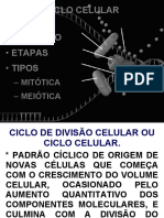 Biologia_EF_AULA_CICLO_CELULAR