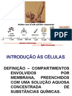 Biologia_EF_celulas_evolucao