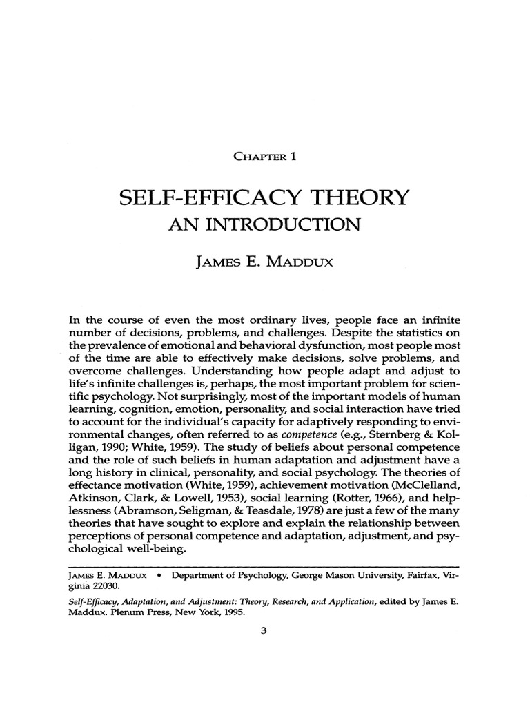 Understanding Self-Efficacy Theory | PDF | Self Efficacy | Psychology