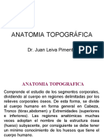 Anatomiatopografica