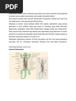 Download Amphibi by Arief Fadillah SN51532701 doc pdf