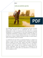 Contaminación de Suelos Por Pesticidas Agrícolas