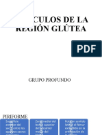 Músculos de La Región Glútea