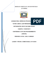 Acta de Procedimiento Judicial - Ricsy Avilez - Derecho Procesal Penal I