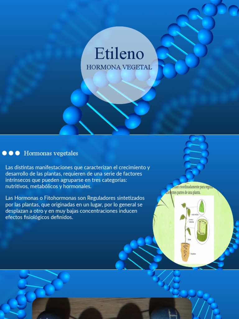 Etileno | PDF