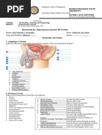 human-reproduction-unit-review-worksheet-key-2015-2016-pdf-human-reproduction-sexuality