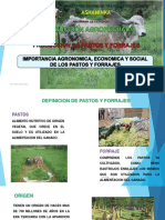 IMPORTANCIA DE LOS PASTOS Y FORRAJES 2019 PDF