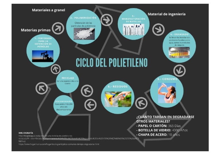 Ciclo Del Polietileno Pdf