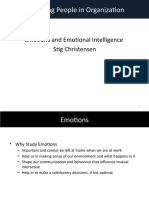 Managing People in Organization: Emotions and Emotional Intelligence Stig Christensen