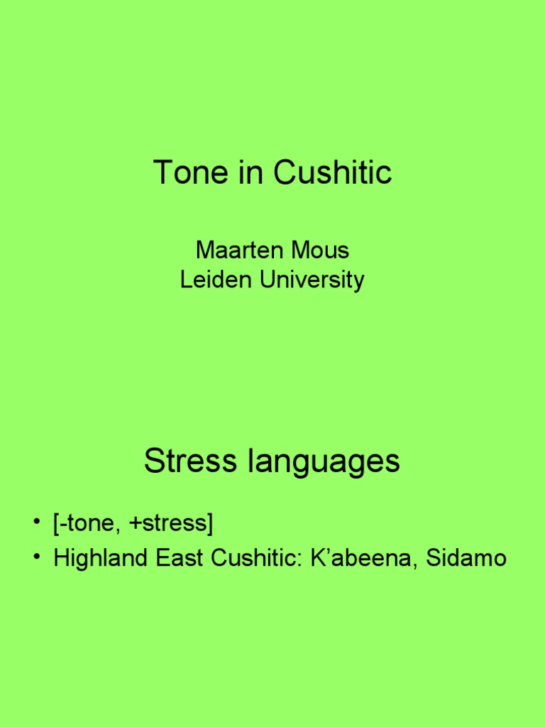 Cushitic Tone and Stress Patterns Analysis | PDF | Stress (Linguistics ...