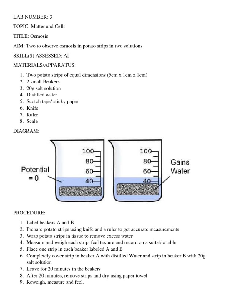 Integrated Science Lab 3 | PDF