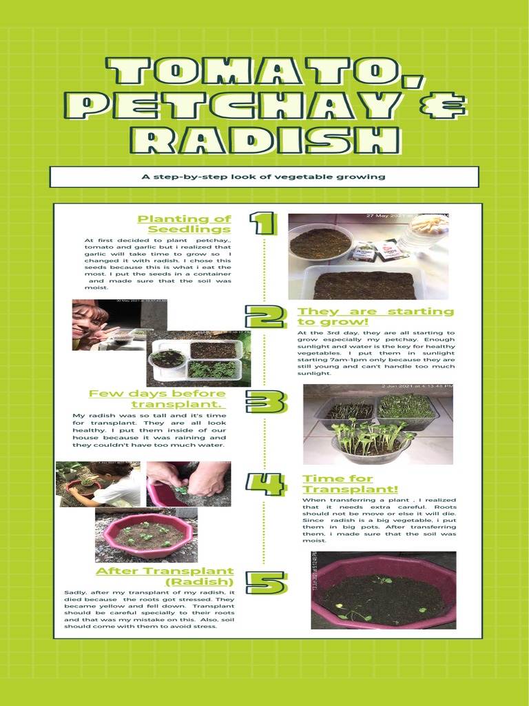 Step-by-Step Vegetable Growing Guide | PDF | Seedling | Landscape ...