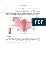 Anatomi Dinding Abdomen