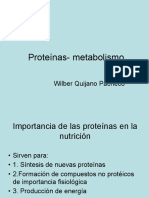 Metabolismo Proteina