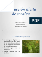 Exposicion de Producion Ilicita de Cocaina