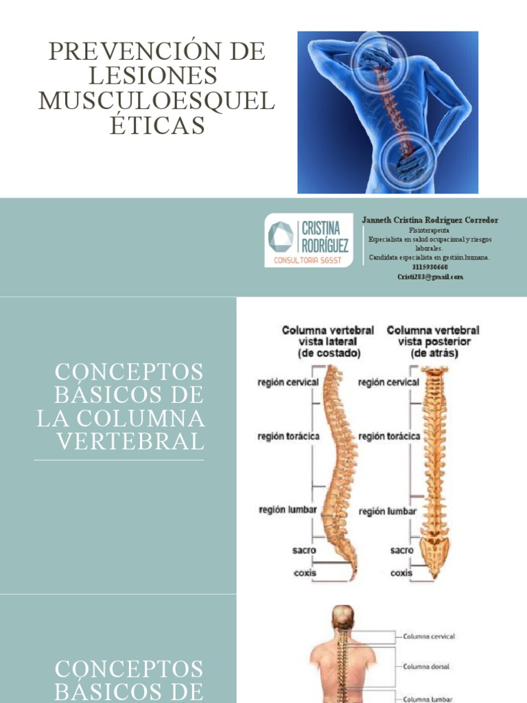 Higiene Postural y Prevención de Lesiones | PDF | La columna vertebral ...