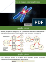 07 - Ligação Gênica e Mapas Cromossômicos