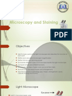 Microscopy and Staining: Lecture