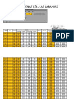 Planilha - Rede Ramificada